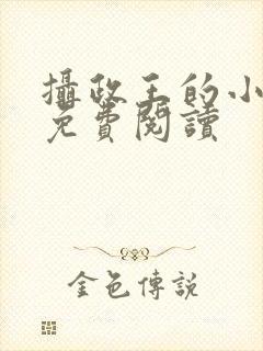摄政王的小闲妻免费阅读封面