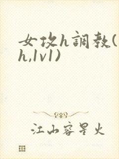 女攻h调教(高h,1v1)