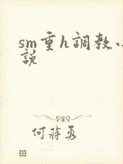 sm重h调教小说封面