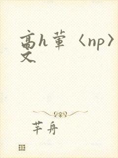 高h荤〈np〉文