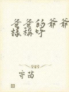 爸爸的爷爷怎么样称呼