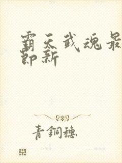 霸天武魂最新章节新