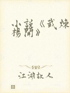 小说《武炼巅峰杨开》