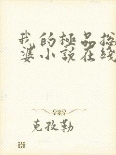 我的极品总裁老婆小说在线阅读