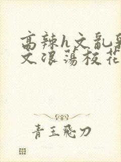 高辣h文乱乳h文浪荡校花小说封面