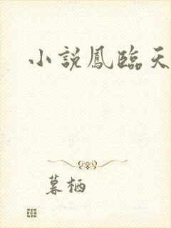 小说凤临天下