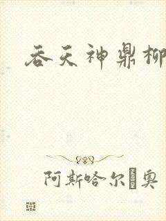 吞天神鼎柳无邪