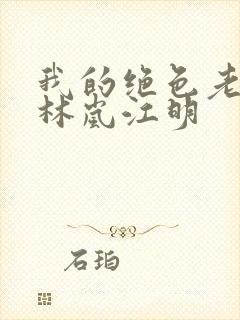 我的绝色老板娘林岚江明