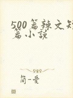 500篇辣文短篇小说封面