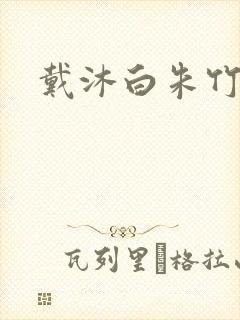 戴沐白朱竹清h