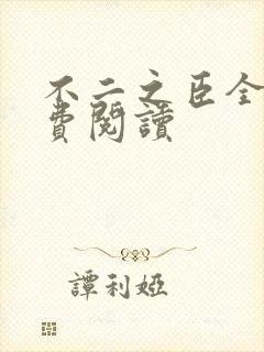 不二之臣全文免费阅读封面