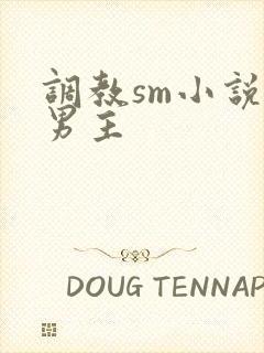 调教sm小说双男主