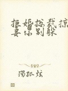 拒婚总裁掠爱前妻你别躲封面