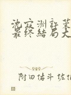 沈寂洲许茉孟姣最终结局大结局