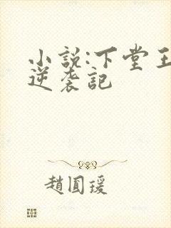小说:下堂王妃逆袭记