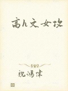 高h文女攻