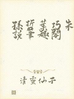 孙哲叶巧朱颜小说笔趣阁封面