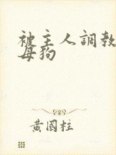 被主人调教成骚母狗