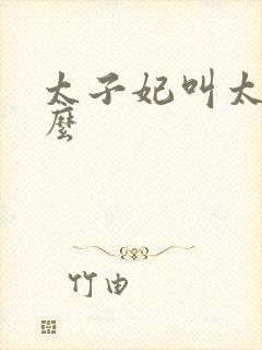 太子妃叫太子什么