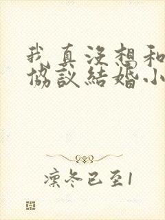 我真没想和大佬协议结婚小说