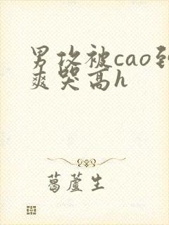 男攻被cao到爽哭高h