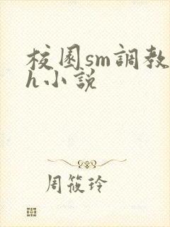 校园sm调教高h小说