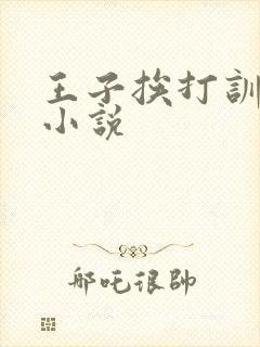 王子挨打训诫文小说