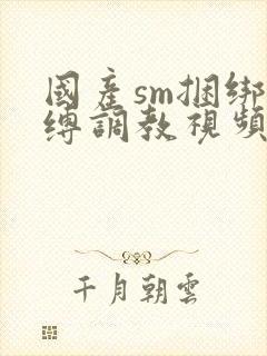 国产sm捆绑束缚调教视频