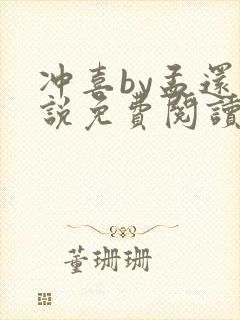 冲喜by孟还小说免费阅读