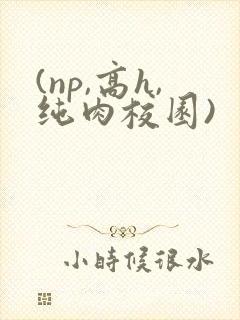(np,高h,纯肉校园)