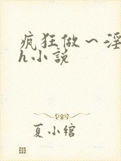 疯狂做～淫h文h小说