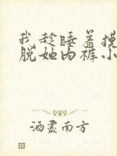 我趁睡着摸她奶脱她内裤小说封面