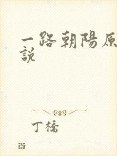 一路朝阳原著小说封面