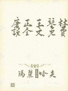 唐正王琴林媛小说全文免费阅读封面