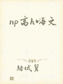 np高h嗨文