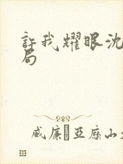 许我耀眼沈家结局