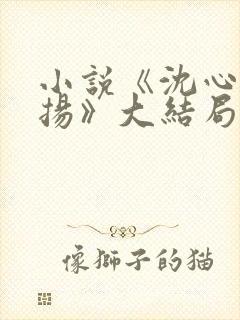 小说《沈心窈祁扬》大结局封面