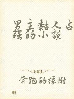 男主黏人占有欲强的小说