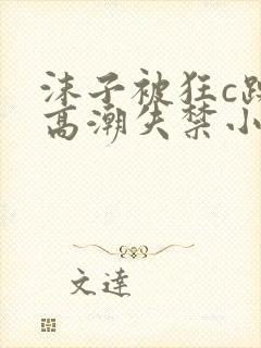 沫子被狂c躁到高潮失禁小说