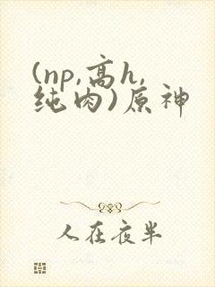 (np,高h,纯肉)原神