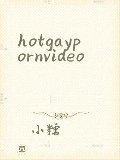 hotgaypornvideo封面