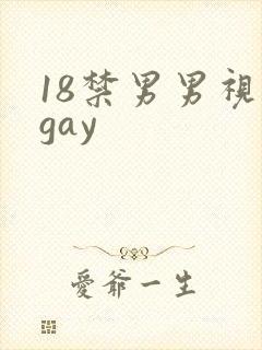 18禁男男视频gay