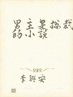 男主是总裁姓盛的小说