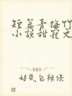 短篇青梅竹马的小说甜宠文