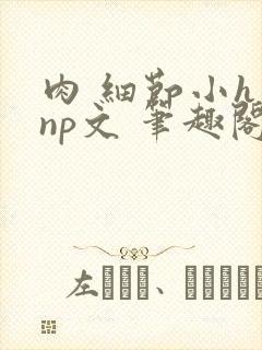 肉 细节小h np文 笔趣阁