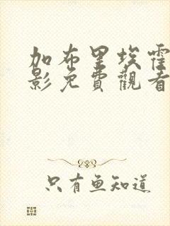加布里埃霍尔电影免费观看
