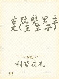 古耽双男主生子文(主生子)