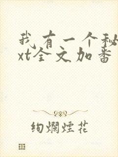 我有一个秘密txt全文加番外