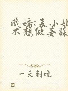 藏娇:表小姐她不想做妾苏微雨