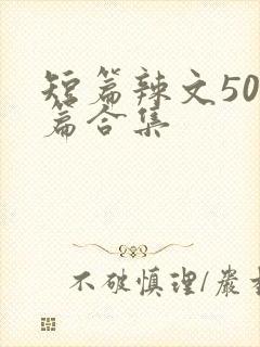 短篇辣文500篇合集